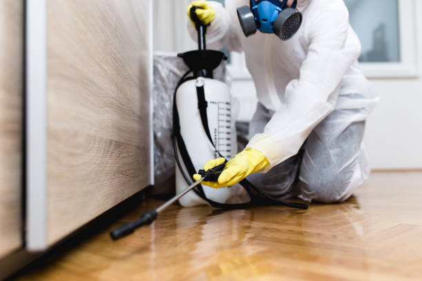 Wildlife Control Services in Spring Lake, MI