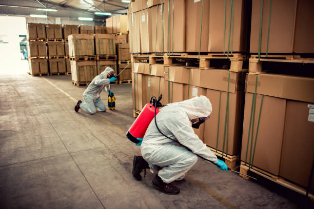Best Pest Removal Services  in Spring Lake, MI