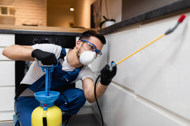 Pest Control Cost in Spring Lake, MI