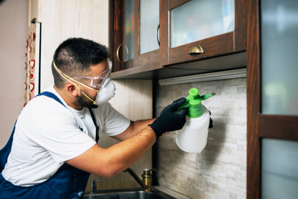Best Flea Control Services  in Spring Lake, MI