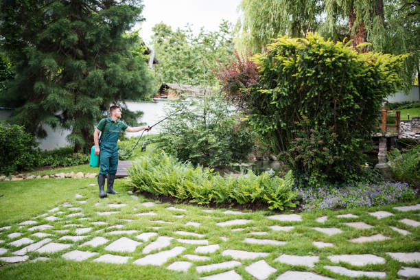 Best Cockroach Control Services  in Spring Lake, MI