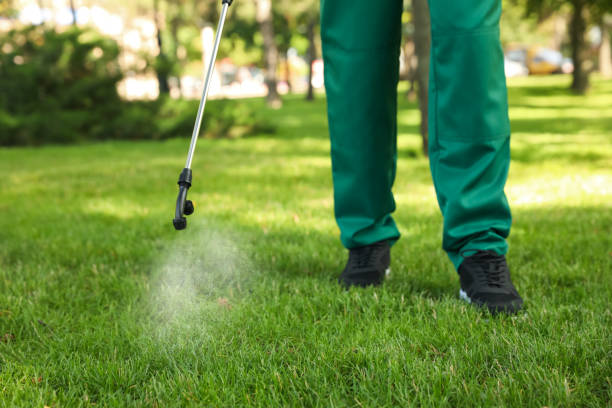 Best Pest Inspection Near Me  in Spring Lake, MI
