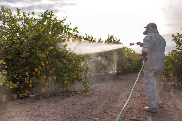 Best Wildlife Control Services  in Spring Lake, MI
