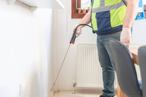 Best Wasp Removal Services  in Spring Lake, MI