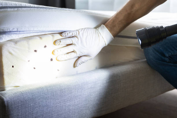 Best Pest Prevention Services  in Spring Lake, MI