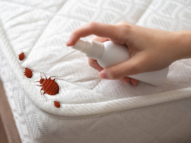 Best Residential Pest Control  in Spring Lake, MI