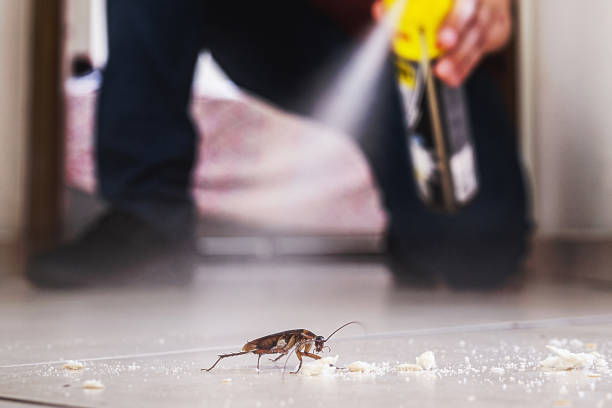 Best Affordable Pest Control Services  in Spring Lake, MI