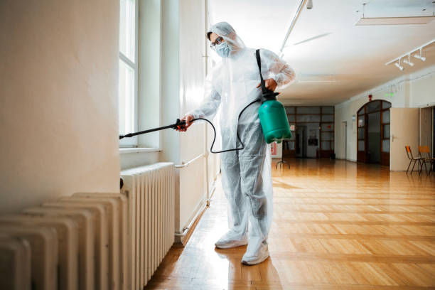 Best Best Pest Control Companies  in Spring Lake, MI