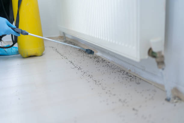 Best Best Pest Control Companies  in Spring Lake, MI