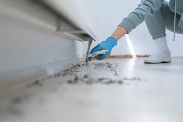 Best Rodent Control Near Me  in Spring Lake, MI