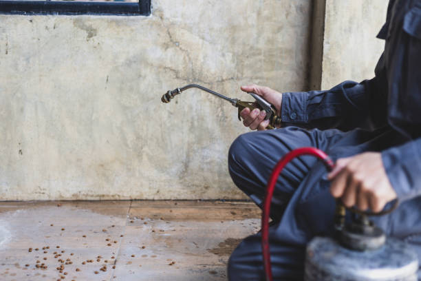 Best Pest Control Cost  in Spring Lake, MI